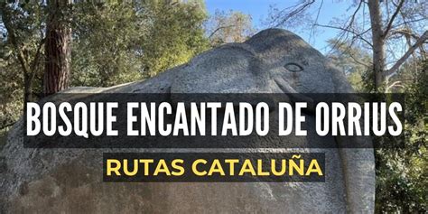 bosque encantado de orrius|Ruta Bosque encantado de Òrrius